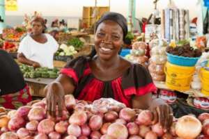 Help Nigerian Petty Traders to Grow Their Business