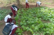 Support Sustainable Agriculture for 10,000 Farmers