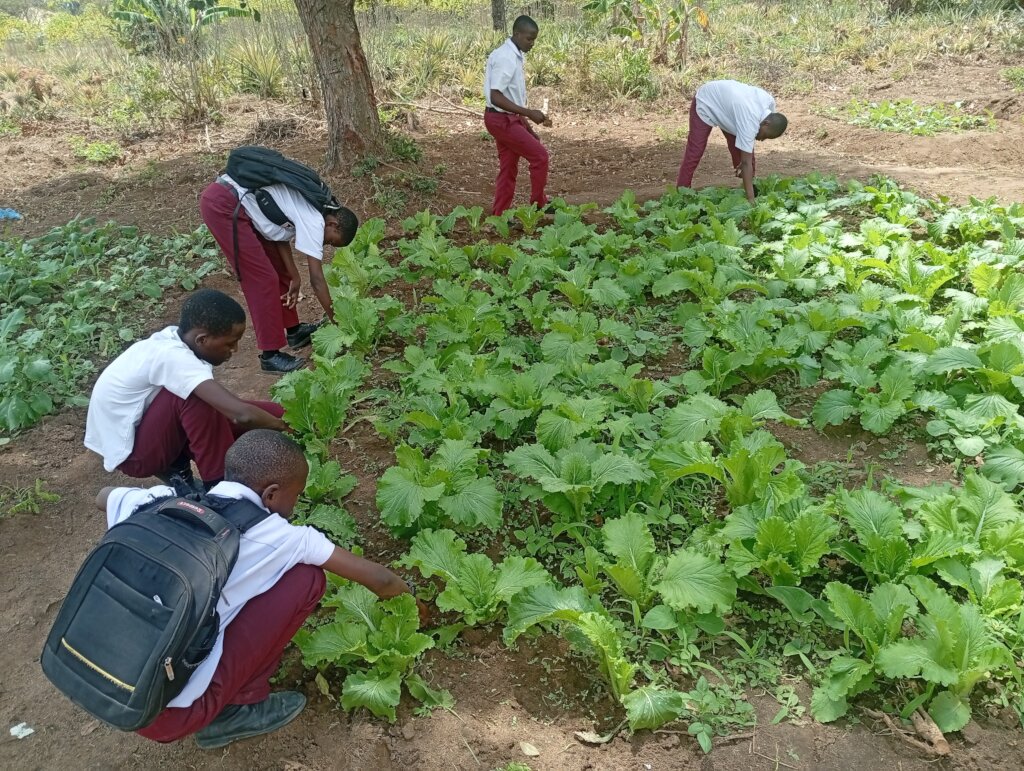 Support Sustainable Agriculture for 10,000 Farmers