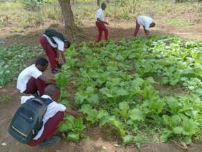 Support Sustainable Agriculture for 10,000 Farmers
