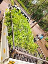 Regreen Central Tanzania: Conserve Water Sources