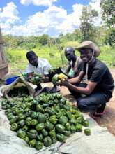 Agroecology product