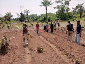 Farming garden