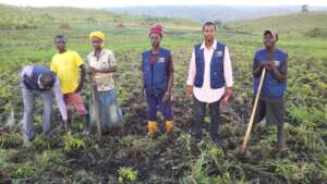 YATOSHA TALENT team in agricultural visit work
