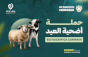 Qurbani for Syria 2026: Your Sacrifice, Their Hope