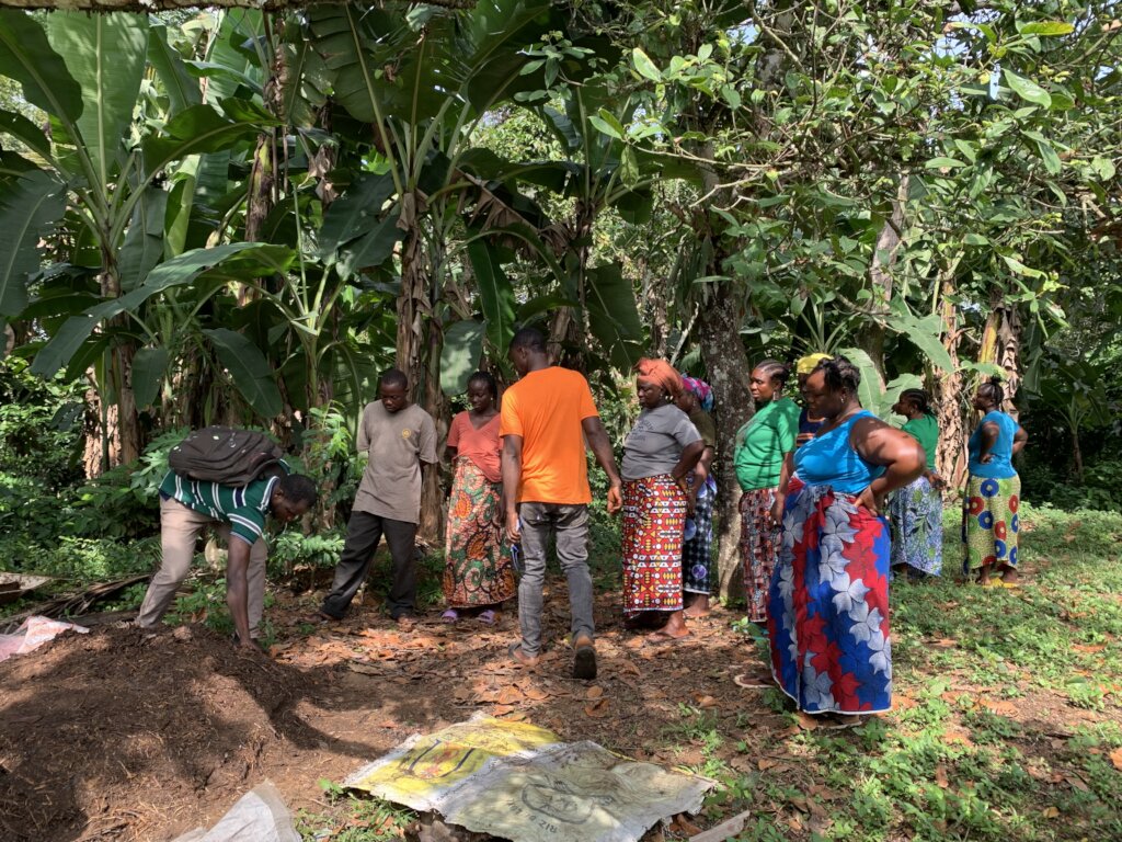 Strengthening Farmers' Adaptation in Liberia