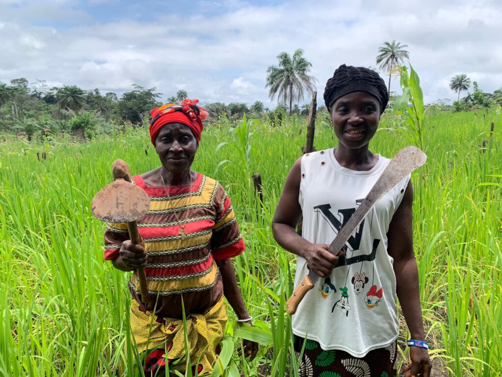 Strengthening Farmers' Adaptation in Liberia