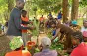 Strengthening Farmers' Adaptation in Liberia
