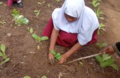 Support Organic Farming With Green Mama in Moshi.