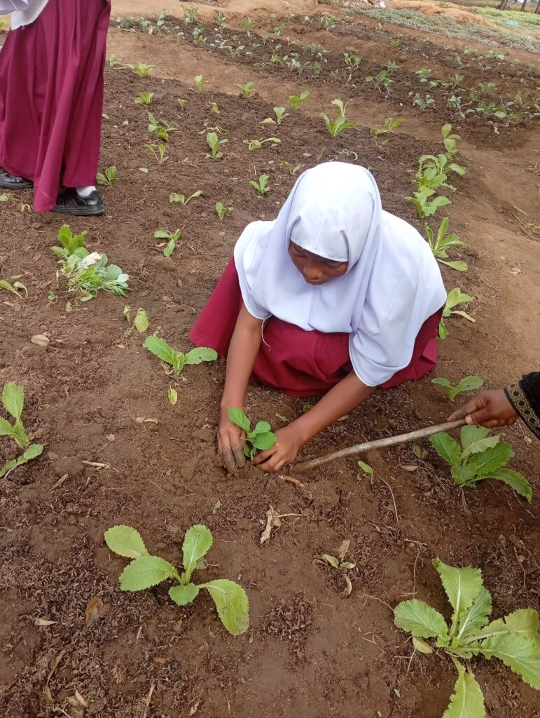 Support Organic Farming With Green Mama in Moshi.
