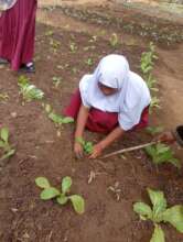 Support Organic Farming With Green Mama in Moshi.