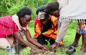 Give Hand Green Maasai Mamas Plants in Serengeti