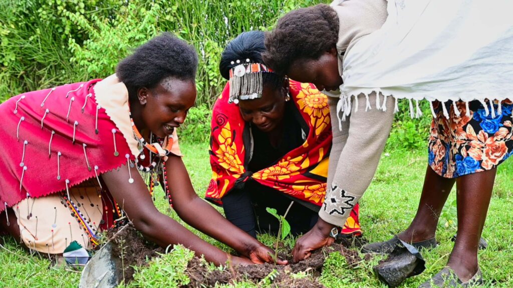 Give Hand Green Maasai Mamas Plants in Serengeti