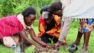 Give Hand Green Maasai Mamas Plants in Serengeti