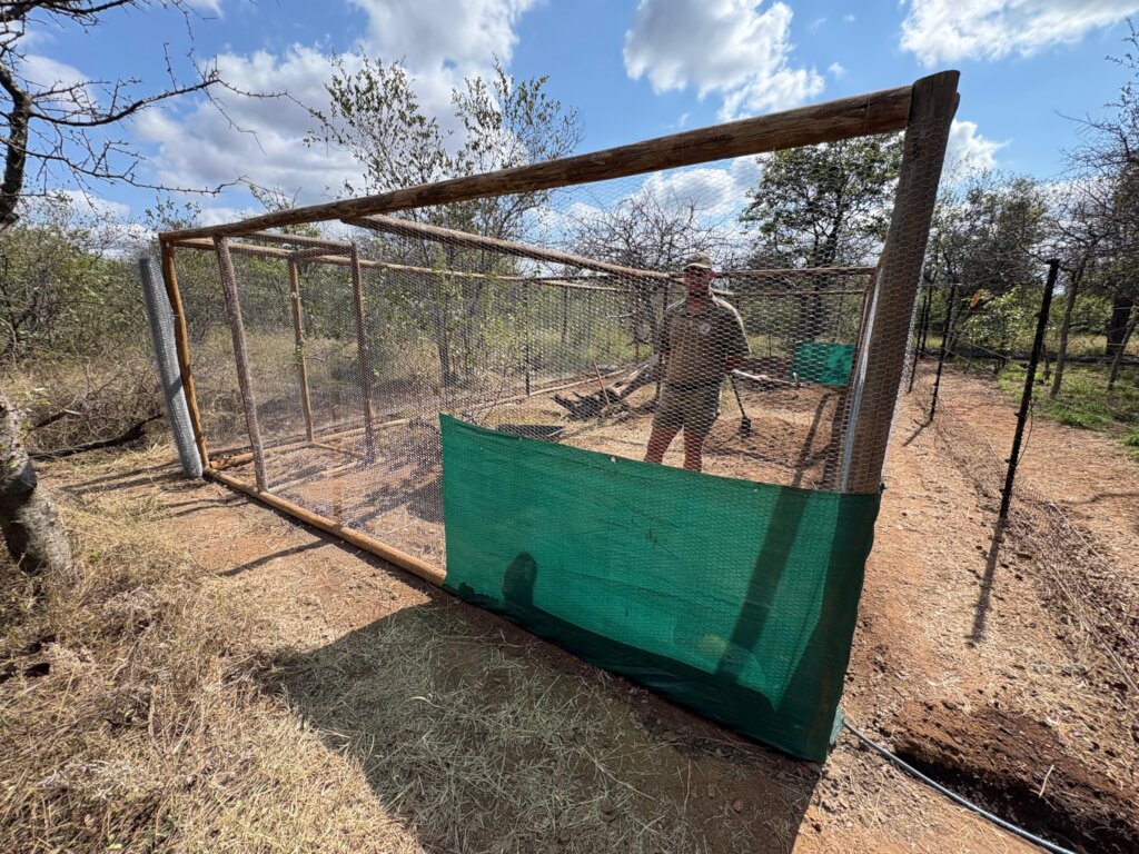 Enclosure being built