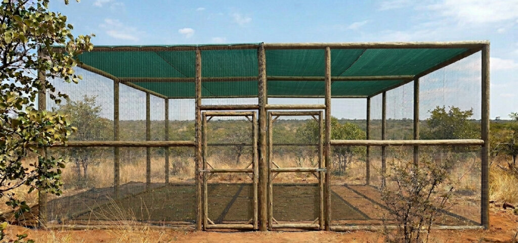 Rehabilitated Small Wildlife Release Enclosure