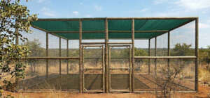 Planned Enclosure
