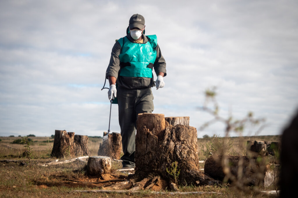 Empowering Wildlife, Environment & Communities