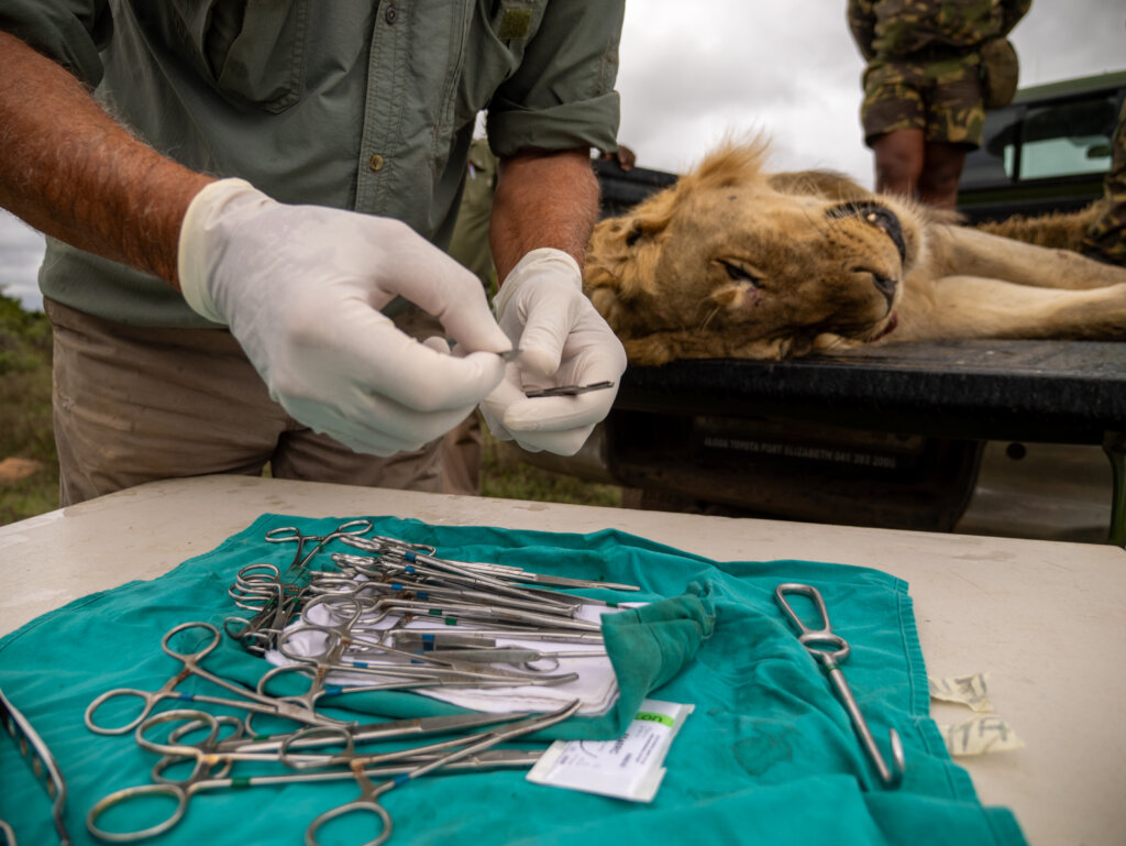 Empowering Wildlife, Environment & Communities