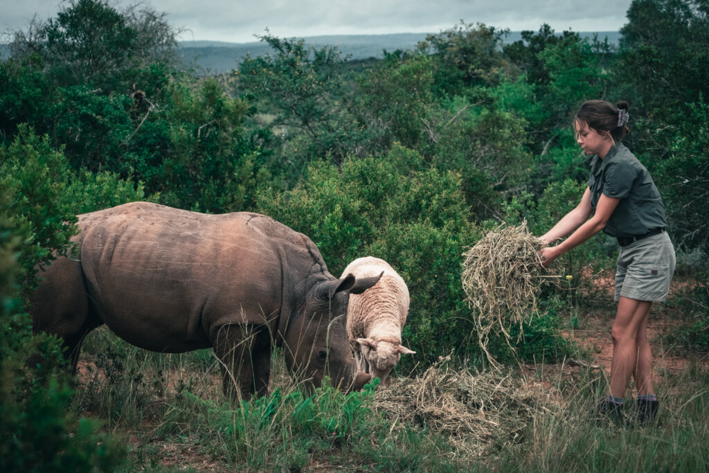 Empowering Wildlife, Environment & Communities