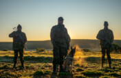 Empowering Wildlife, Environment & Communities
