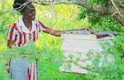Support 100 Women Beekeeping Groups in Tanzania