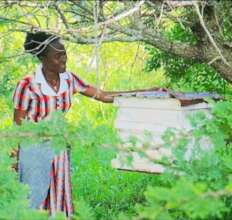 Support 100 Women Beekeeping Groups in Tanzania