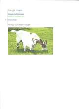 we acknowledge with thanks google photos