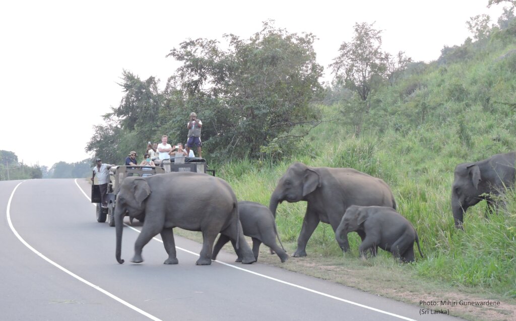 Model for Human- Elephant Co-existence - Sri Lanka