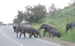 Conflict Mitigation: Peaceful co-existence