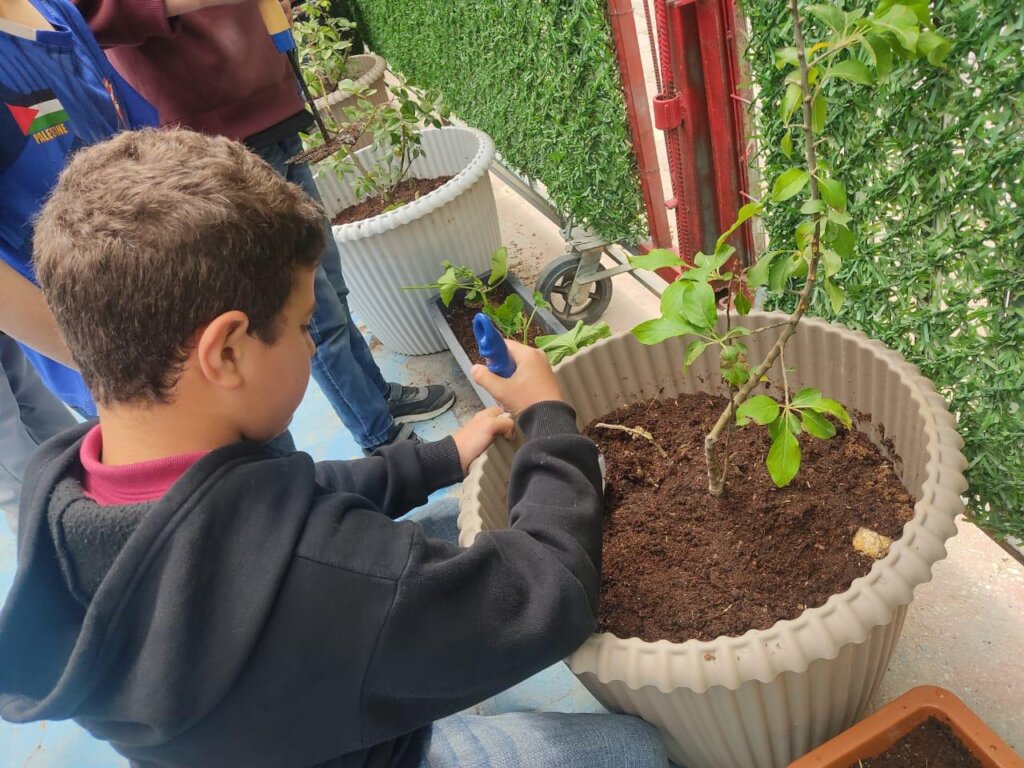 Youth-Led Climate Education Initiatives in schools