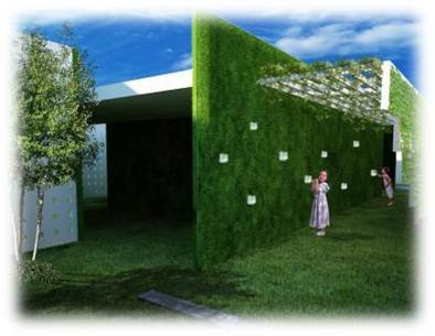 "Ceiba pentandra"a unique environmental theme park