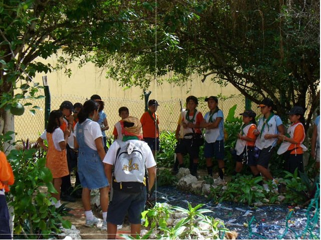 "Ceiba pentandra"a unique environmental theme park