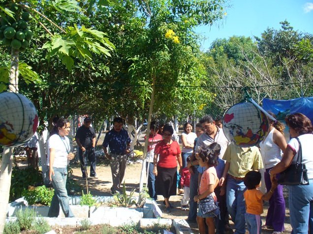 "Ceiba pentandra"a unique environmental theme park
