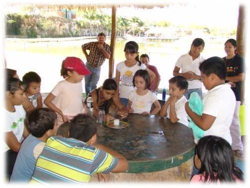"Ceiba pentandra"a unique environmental theme park