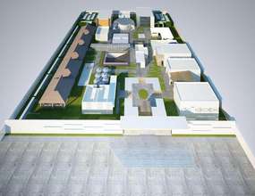 blueprints, view of ceiba pentandra,