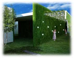 Water culture zone