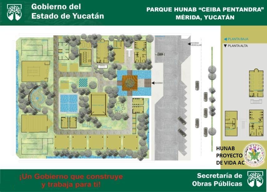 "Ceiba pentandra"a unique environmental theme park