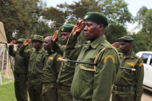Mount Kenya Trust Rangers