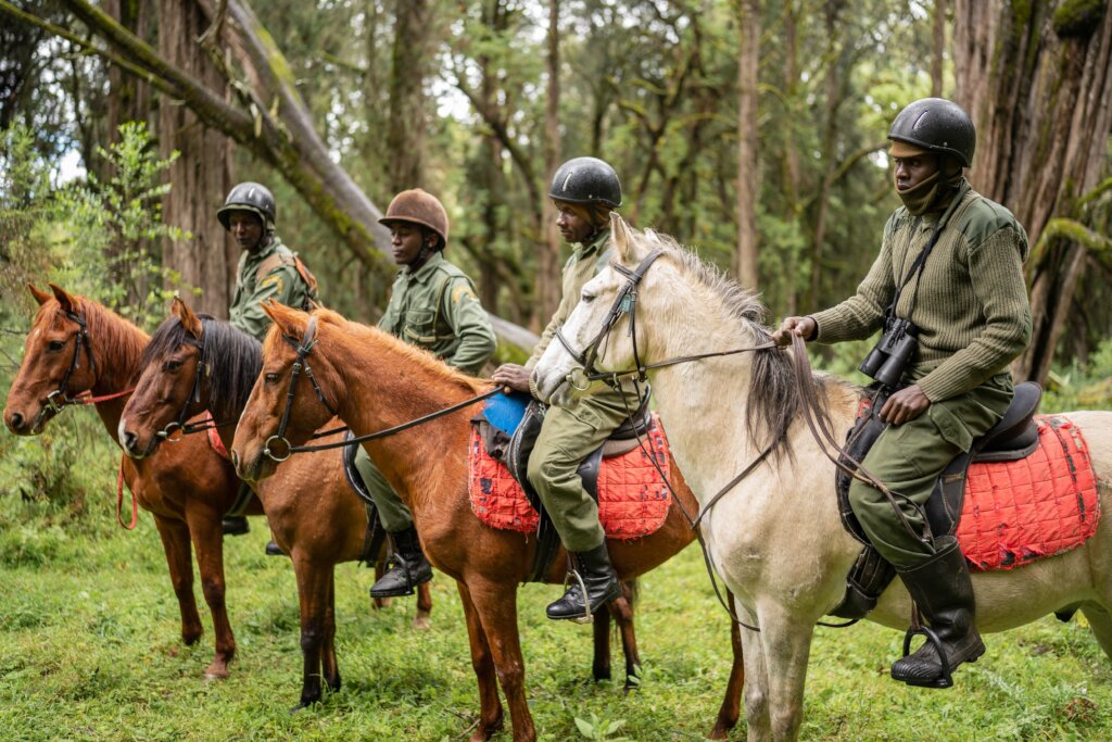 Protecting A World Heritage Site From Destruction