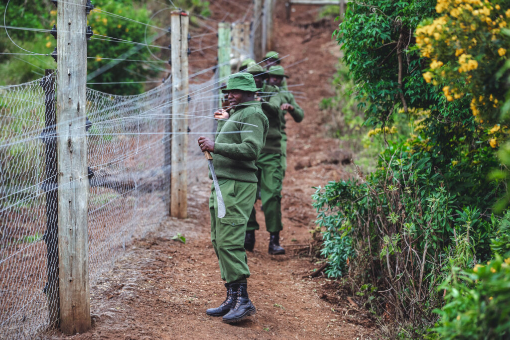 Protecting A World Heritage Site From Destruction