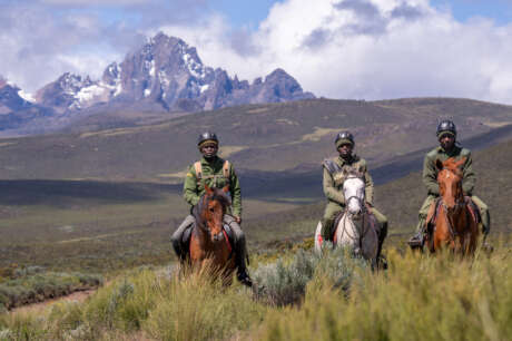 Protecting A World Heritage Site From Destruction