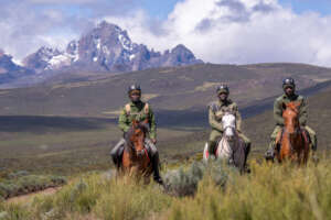 Protecting A World Heritage Site From Destruction