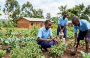 School and Household Farming for Food Security
