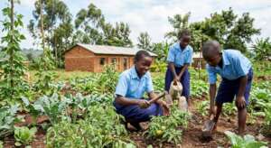 School and Household Farming for Food Security