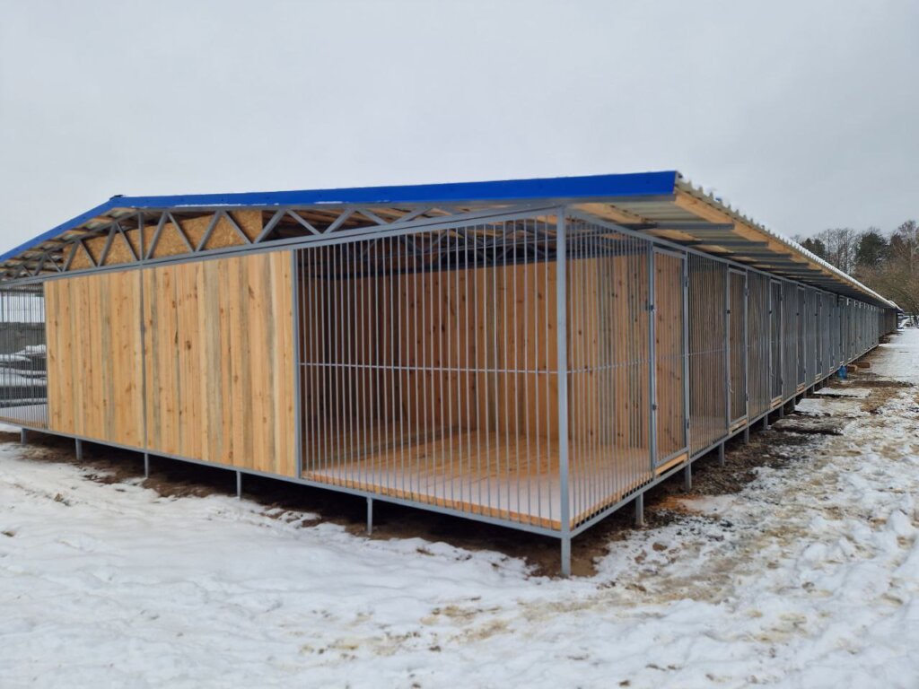 "A new home means safety and comfort for dogs"