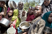 Feed Hungry Families in Northern Nigeria Crisis