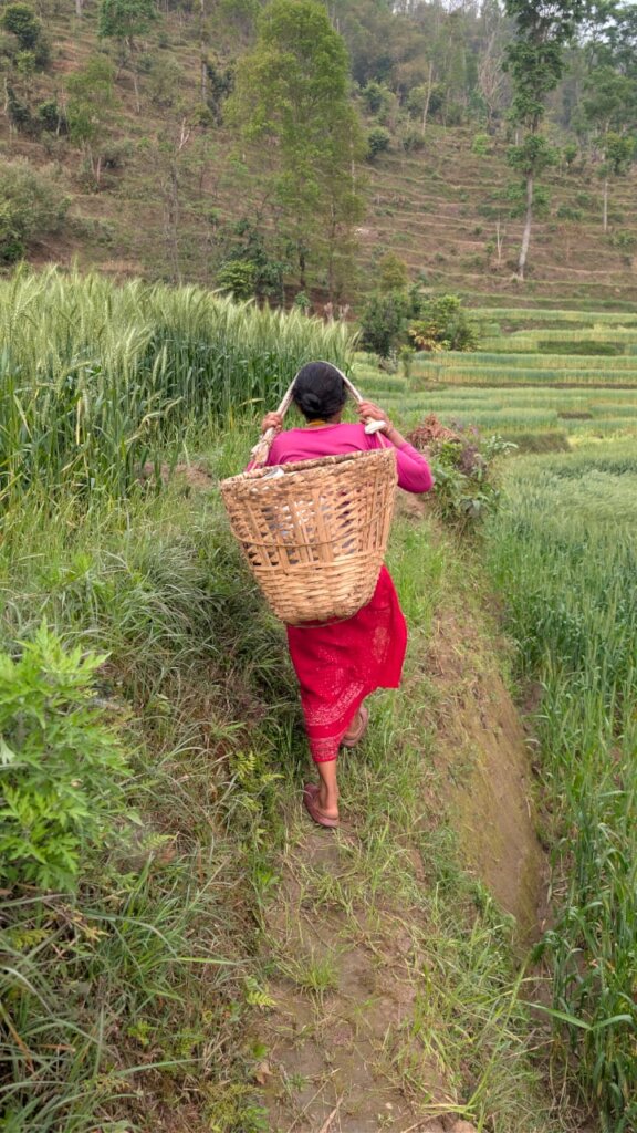 Women-led Water Futures in Rural Hill of Nepal