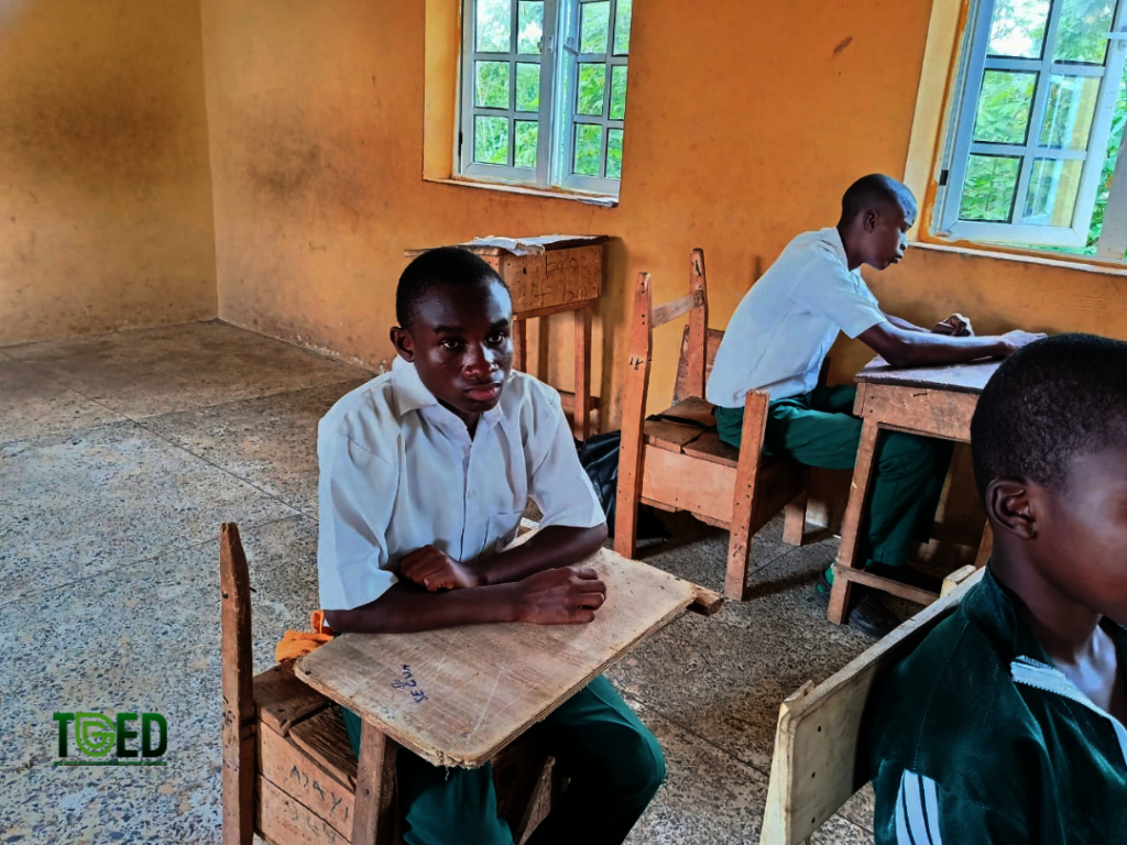 Seed to School: Growing Futures in Nigeria