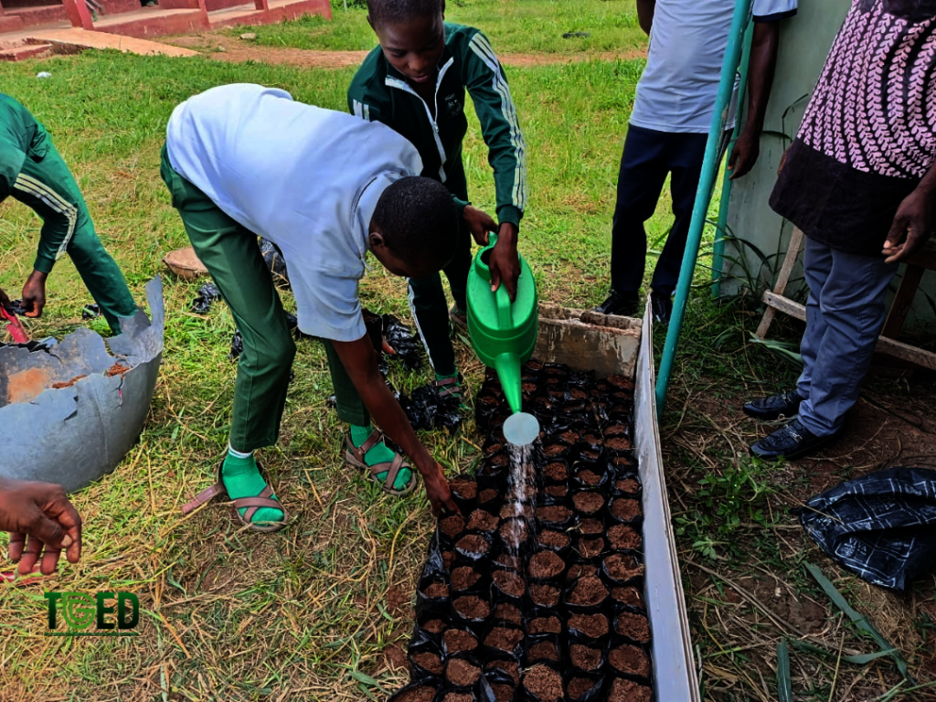Seed to School: Growing Futures in Nigeria